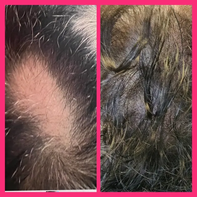 iBrow Vixen transformation result