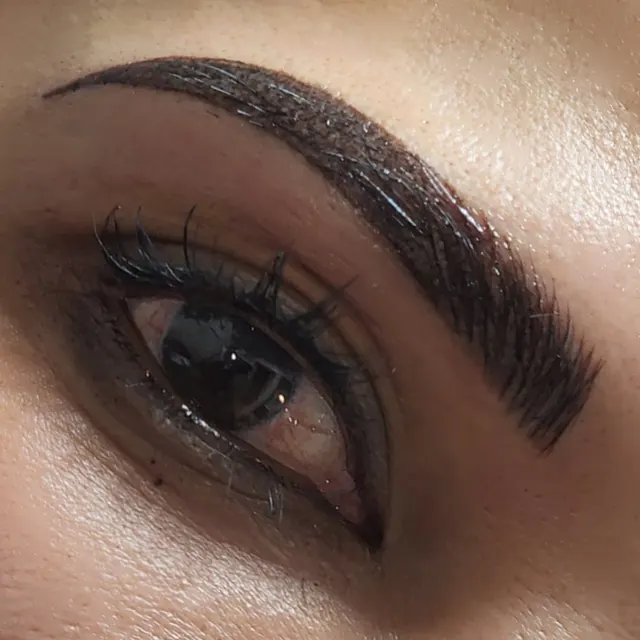 Hybrid Fusion Brow