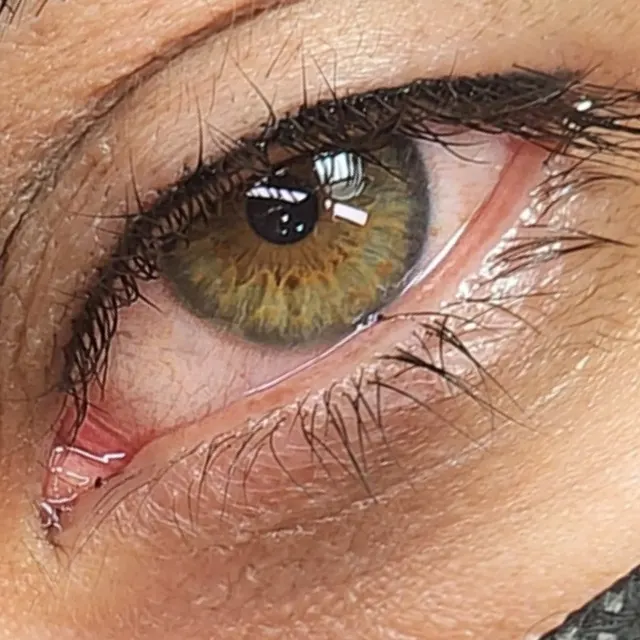 iBrow Vixen transformation result