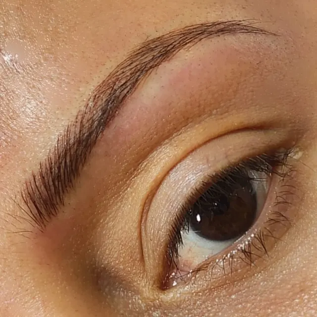 Microblading SF, Petaluma, ibrow Vixen