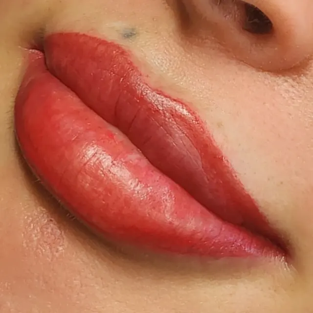 Lip Blush - iBrow Vixen, San Francisco & Petaluma, Bay Area