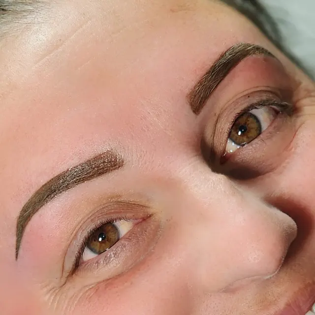 Powder\Ombre Brows